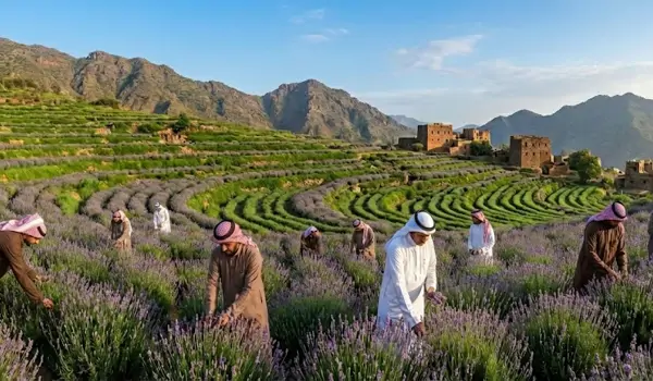 مشروع السلال الغذائية